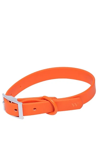 Wild One X Revolve Collar In Blaze