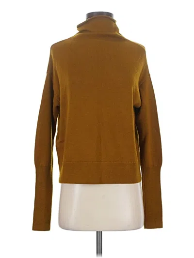 Pre-owned Wilfred Turtleneck Sweater In Brown