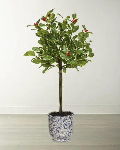 Winward 28" Rounded Holly Tree In Ceramic Pot