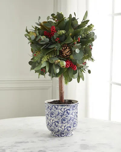 Winward Eucalyptus Holiday In Blue/white Pot