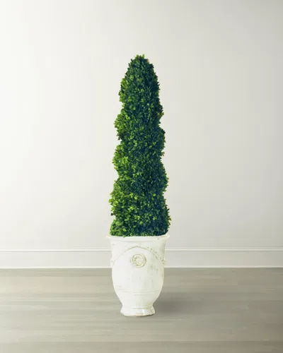 Winward Home Boxwood Spiral In Tuscan Urn In Green