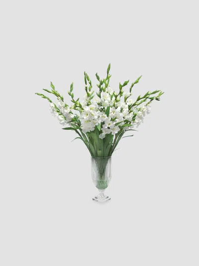 Winward Home Everyday Cut Vase White Gladiolus In Green