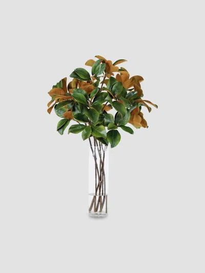 Winward Home Everyday Imitation Magnolia Leaf Florals In Glass Vase In Green