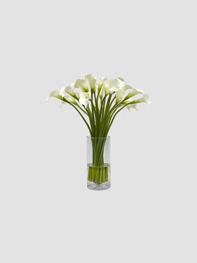 Winward Home Everyday Vase Calla Lily In Transparent