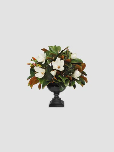 Winward Home Imitation Magnolia In Pompeii Urn In Black