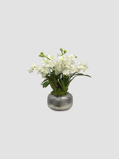Winward Home Imitation Vanda Orchid In Pot In Multi