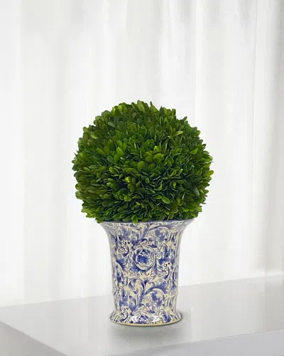 Winward Preserved Boxwood Ball In Porcelain Vase - 14"