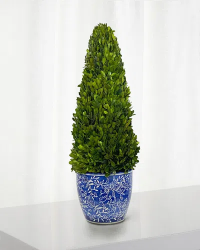 Winward Preserved Boxwood Cone Topiary In Porcelain Lotus Pot - 28"