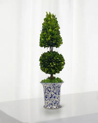 Winward Preserved Coneball Boxwood Topiary In Porcelain Vase - 24"