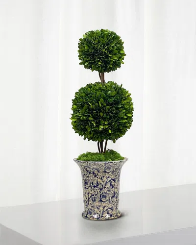 Winward Preserved Double Ball Topiary In Porcelain Vase - 25.5"