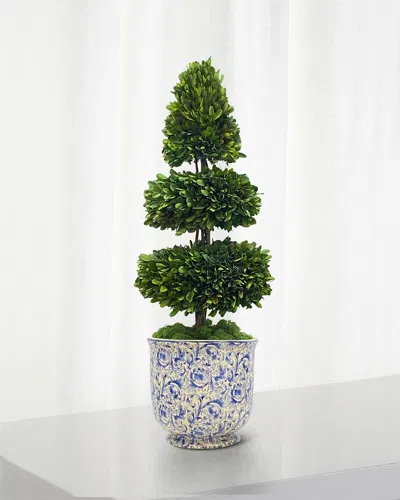 Winward Rodeo Boxwood Topiary