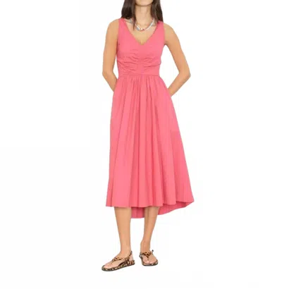 Xirena Patrice Poplin Dress In Pink Petal