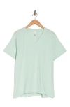 Z By Zella Vintage Washed Relaxed V-neck Tee In Green Glimmer
