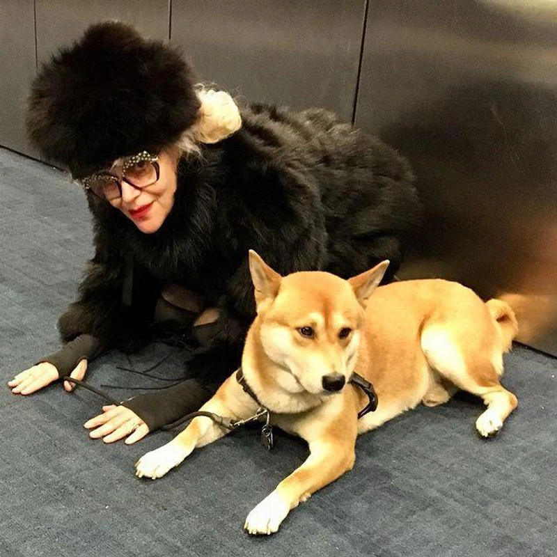 theladykrishna's Post | Wearing: Stand Studio Marcella Faux Fur Jacket In Black