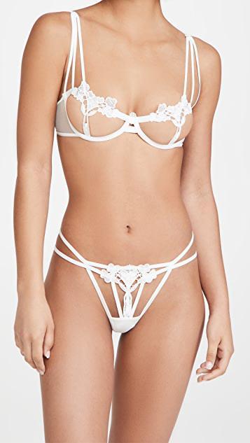 BLUEBELLA Nova Mid-rise Stretch-lace Thong In Ivory