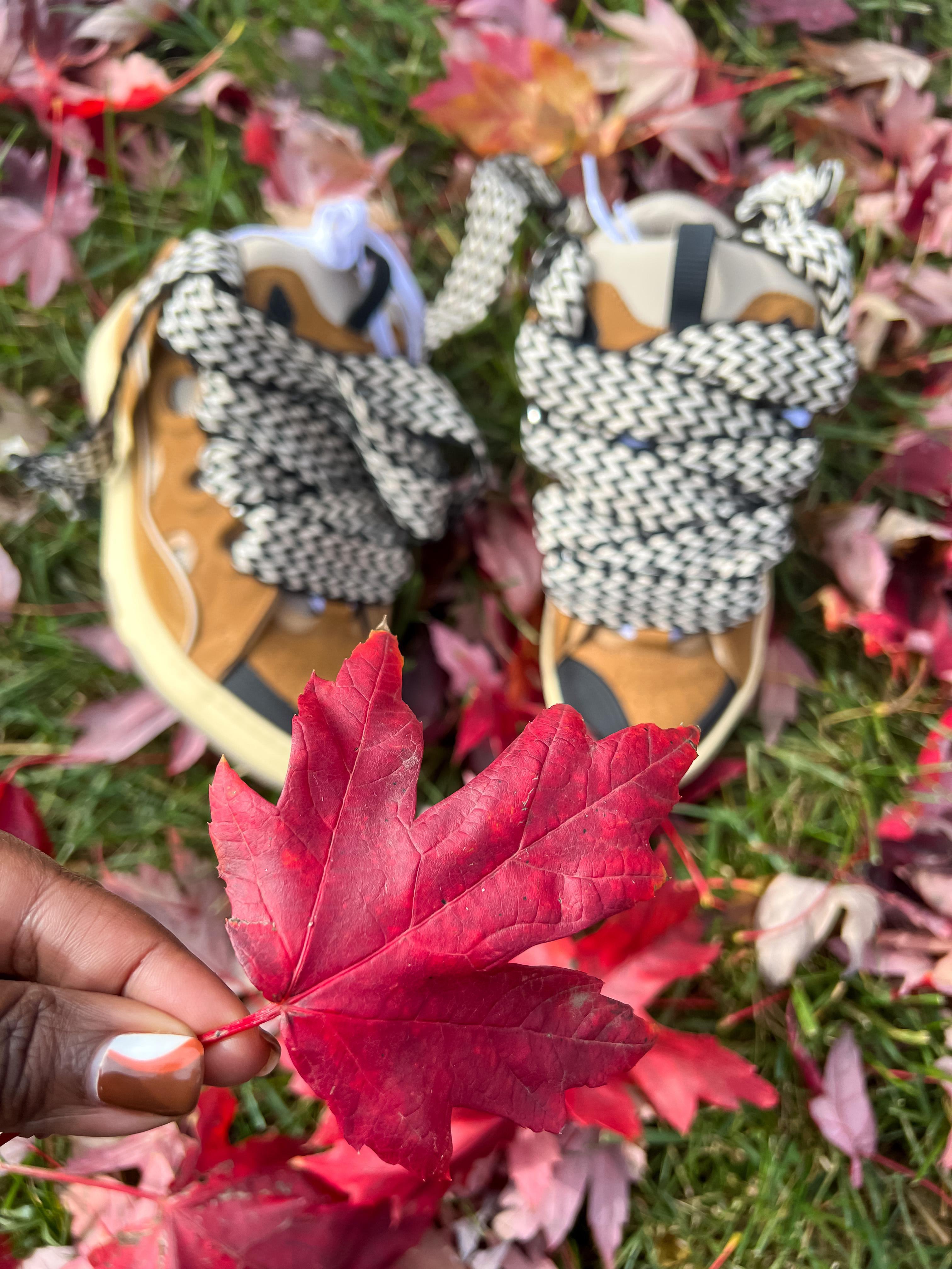 LANVIN Leather Sneakers With Unique Lacing System In Multi