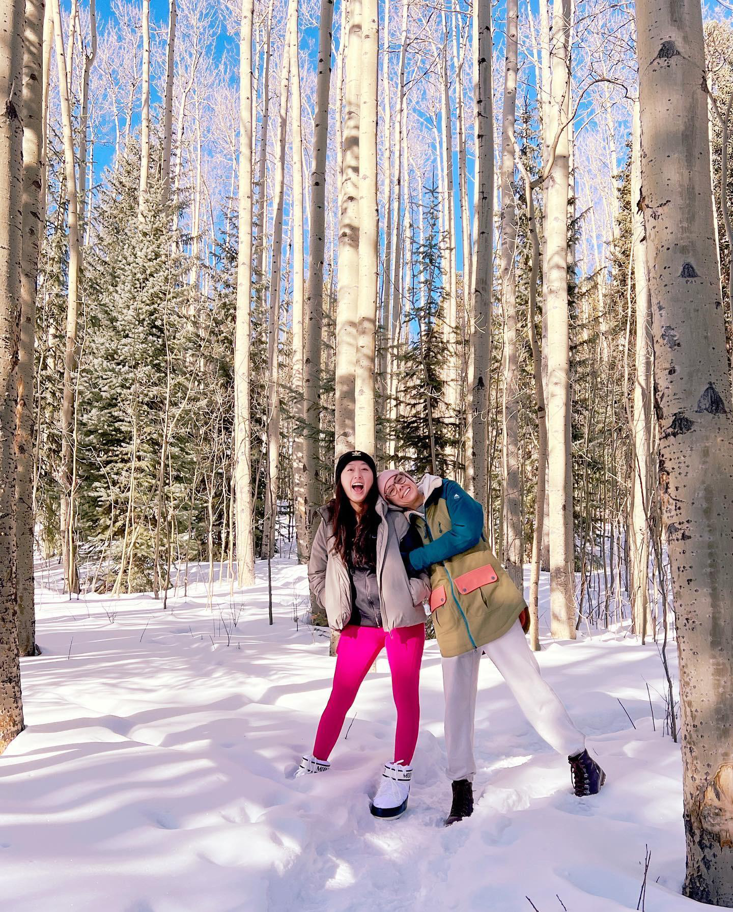 MOON BOOT Icon Low Snow Boots In White