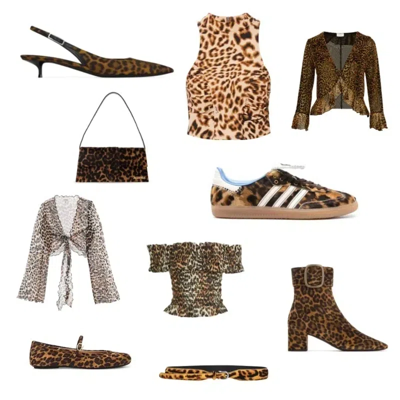 GIANVITO ROSSI Ballerina Carla In Animal Print