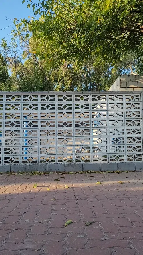 SAINT LAURENT Wyatt Calf Leather Chelsea Boots In Black