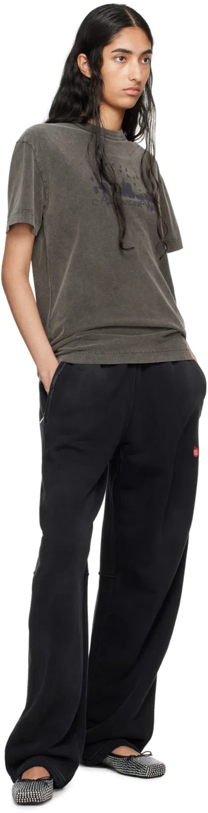 ALEXANDER WANG Satin Ballerinas With All-over Rhinestones In Animal Print