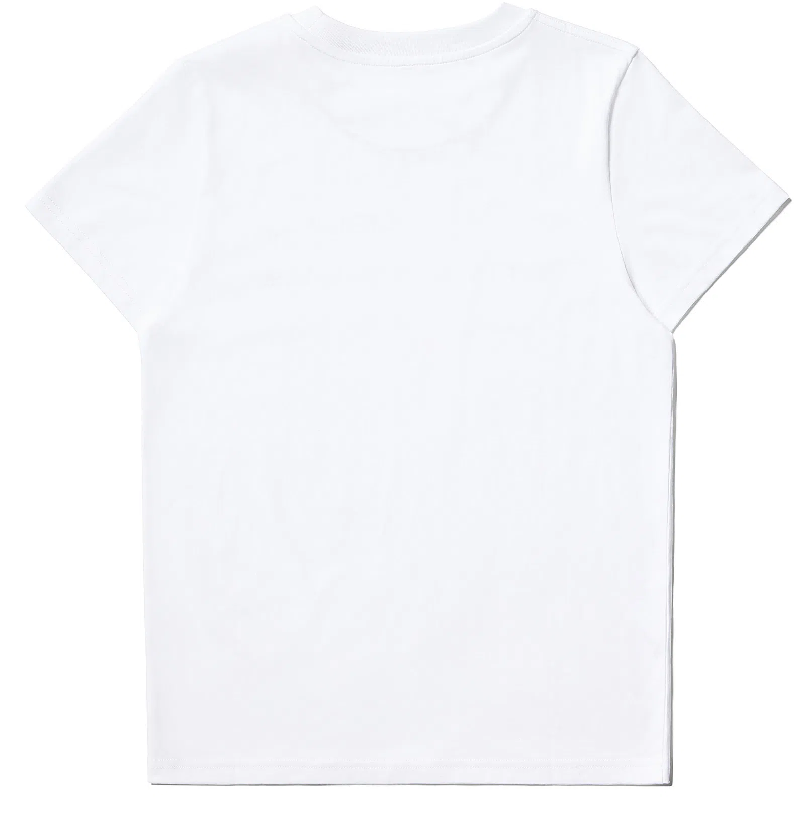 APC Silver Minimalist Necklace In Rab Silver