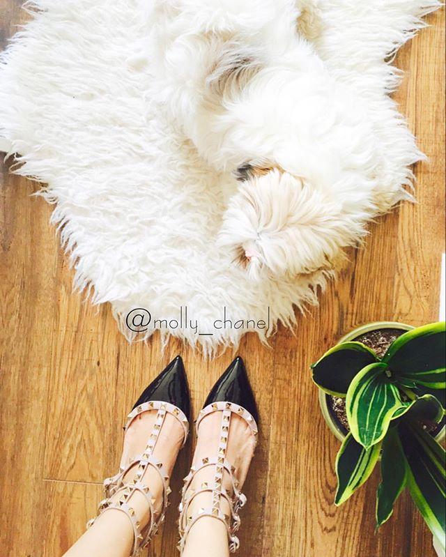 VALENTINO GARAVANI Valentino Rockstud Caged 100 Patent Pump In Black