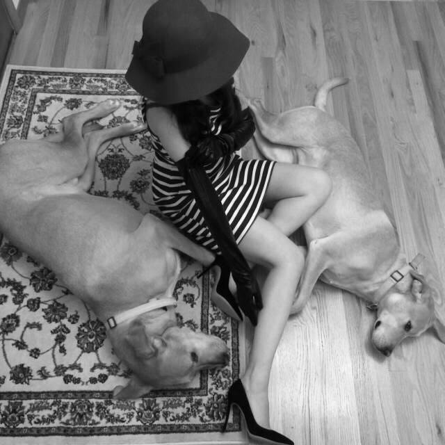 GIANVITO ROSSI Woman Pumps Black Size 12 Textile Fibers