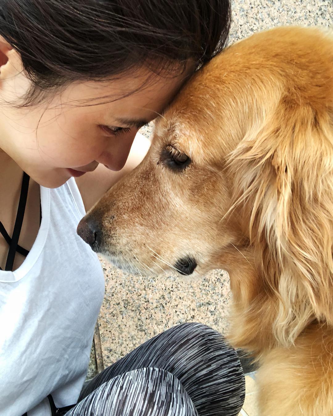 ATM ANTHONY THOMAS MELILLO Slub Jersey Schoolboy Crewneck T Shirt In Tan