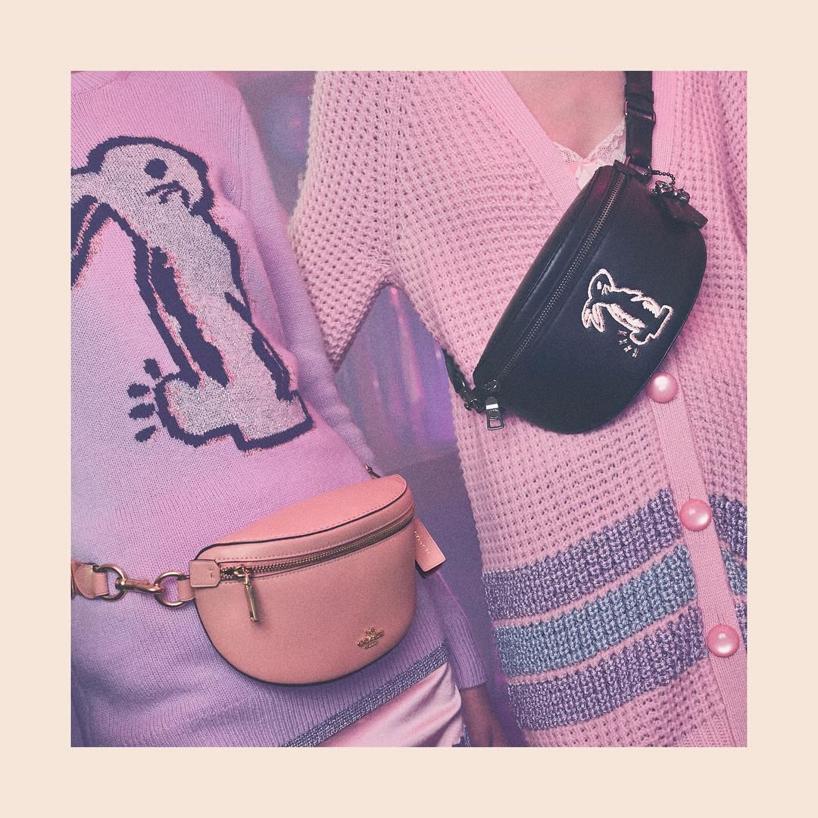 Selena Gomez Coach Belt Bag