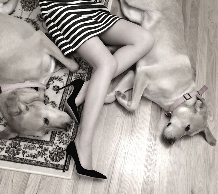 GIANVITO ROSSI Woman Pumps Black Size 12 Textile Fibers