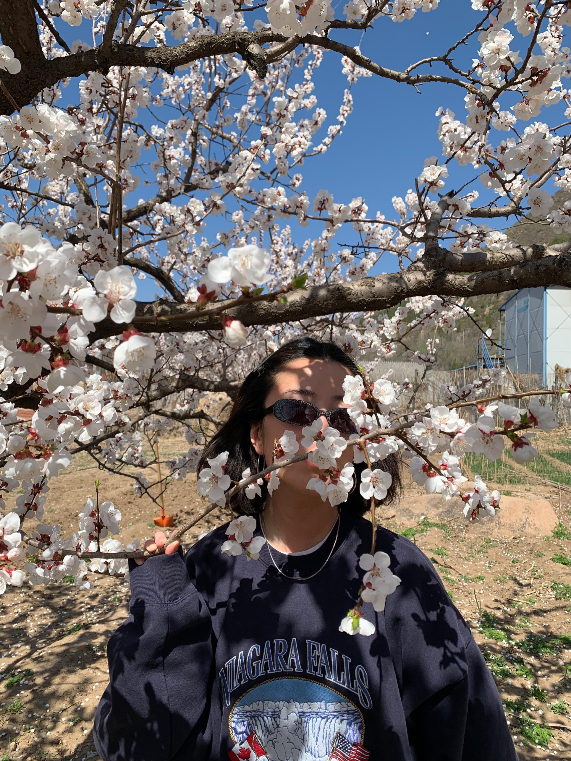 LE SPECS Womens Black Outta Love Oval-frame Plastic Sunglasses