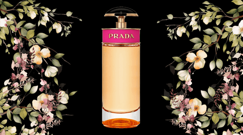 prada candy