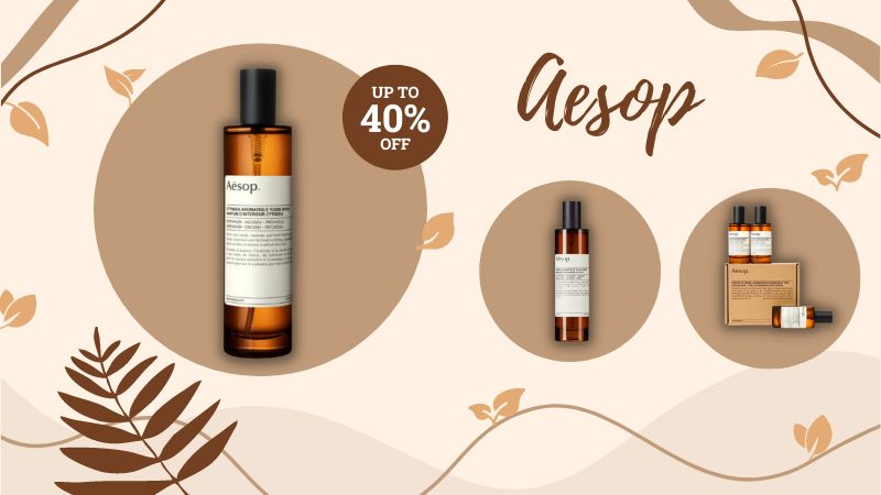 The Ultimate Guide to Best Premium Room Fragrances