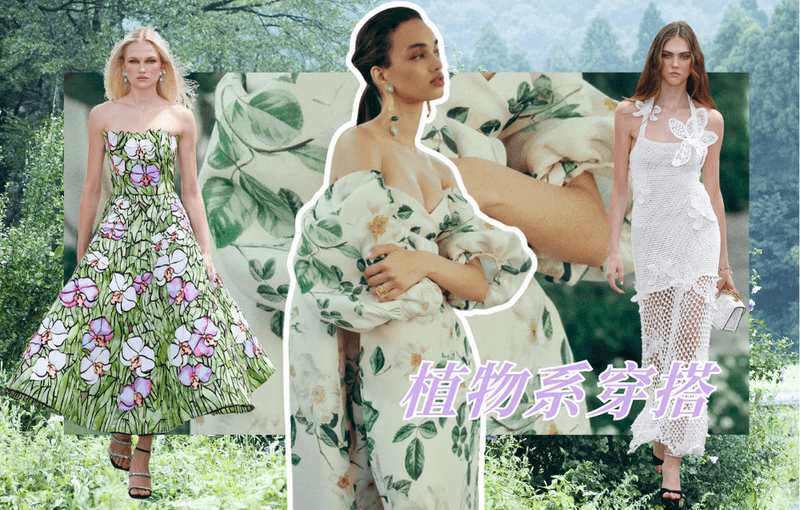 当代年轻人的精神快充：把自己打扮成一颗植物！